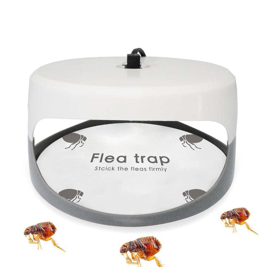 5PCS Flea Trap Stickers Sticky Fly Traps Pumpkin Shaped Flea Traps for Home Bedroom
