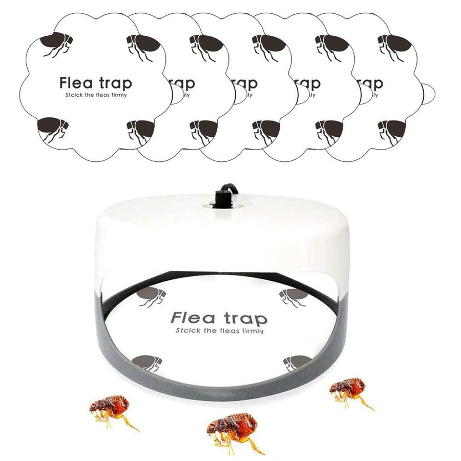 5PCS Flea Trap Stickers Sticky Fly Traps Pumpkin Shaped Flea Traps for Home Bedroom
