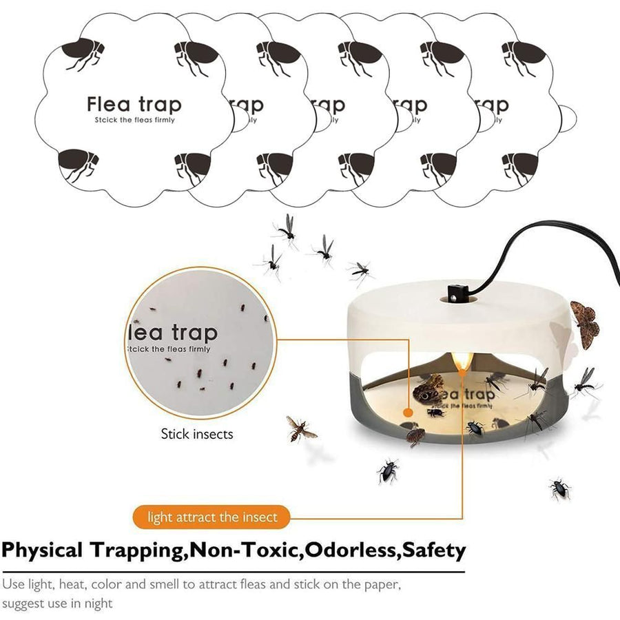 5PCS Flea Trap Stickers Sticky Fly Traps Pumpkin Shaped Flea Traps for Home Bedroom