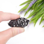 10 Pieces Bonsai Fertilizer Box Automatic Planting Fertilizers Baskets Plastic Claw Shaped Fertilization Control Container