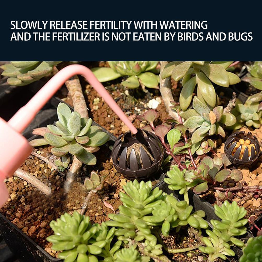 10 Pieces Bonsai Fertilizer Box Automatic Planting Fertilizers Baskets Plastic Claw Shaped Fertilization Control Container