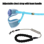 Cat Leash Harness Set Adjustable Bowknot Vest Type Cat Traction Rope Pet Supplies