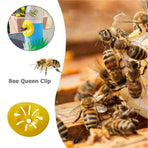 10PCS Bee Trap Flower Shaped Insect Catcher Bee Catcher Hanging Yellow Funnel Trap