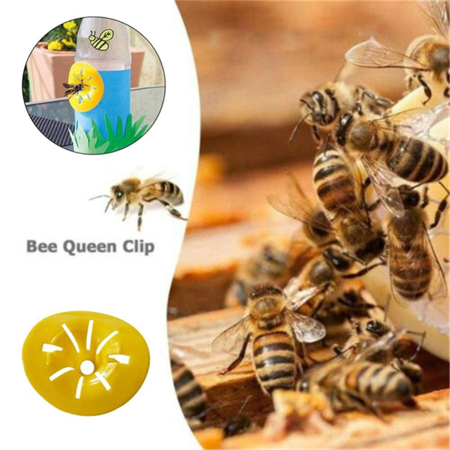 10PCS Bee Trap Flower Shaped Insect Catcher Bee Catcher Hanging Yellow Funnel Trap