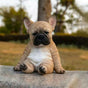 French Bulldog Statue Dog Figurine Resin Ornament for Outdoor Or Indoor Decor