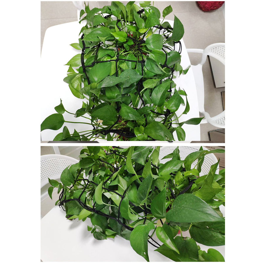 Elastic Plant Tent Compression Mesh Multifunctional Elastic Nylon Belt