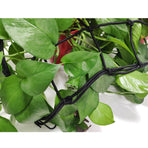 Elastic Plant Tent Compression Mesh Multifunctional Elastic Nylon Belt
