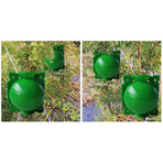 10Pcs Plant Root Growing Box High Pressure Propagation Ball Rooting Grafting Tool Green L Size