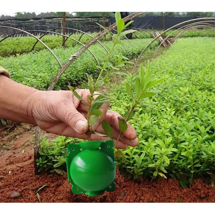 10Pcs Plant Root Growing Box High Pressure Propagation Ball Rooting Grafting Tool Green L Size