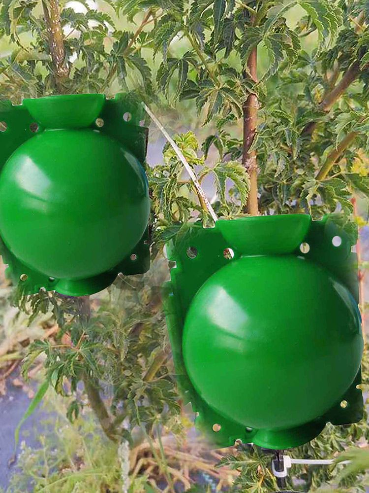 10Pcs Plant Root Growing Box High Pressure Propagation Ball Rooting Grafting Tool Green L Size
