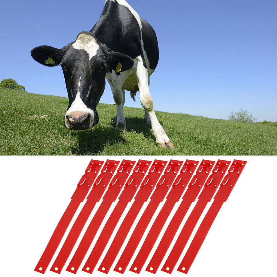 10pcs Identification ID Collars Bands Cow Cattle Marking Ring Supplies for Farm LivestockRed