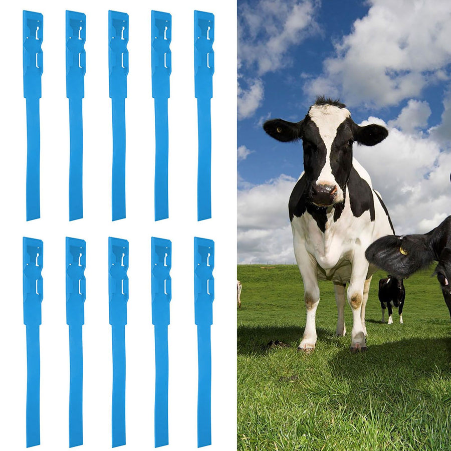 10pcs Identification ID Collars Bands Cow Cattle Marking Ring Supplies for Farm LivestockBlue