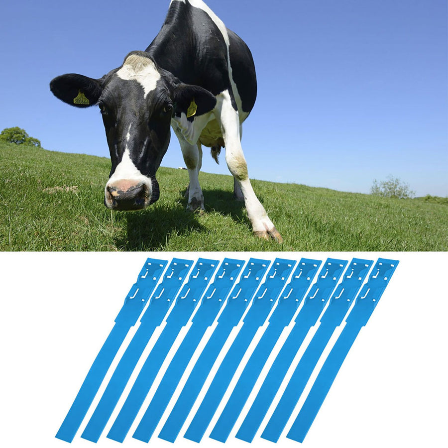 10pcs Identification ID Collars Bands Cow Cattle Marking Ring Supplies for Farm LivestockBlue