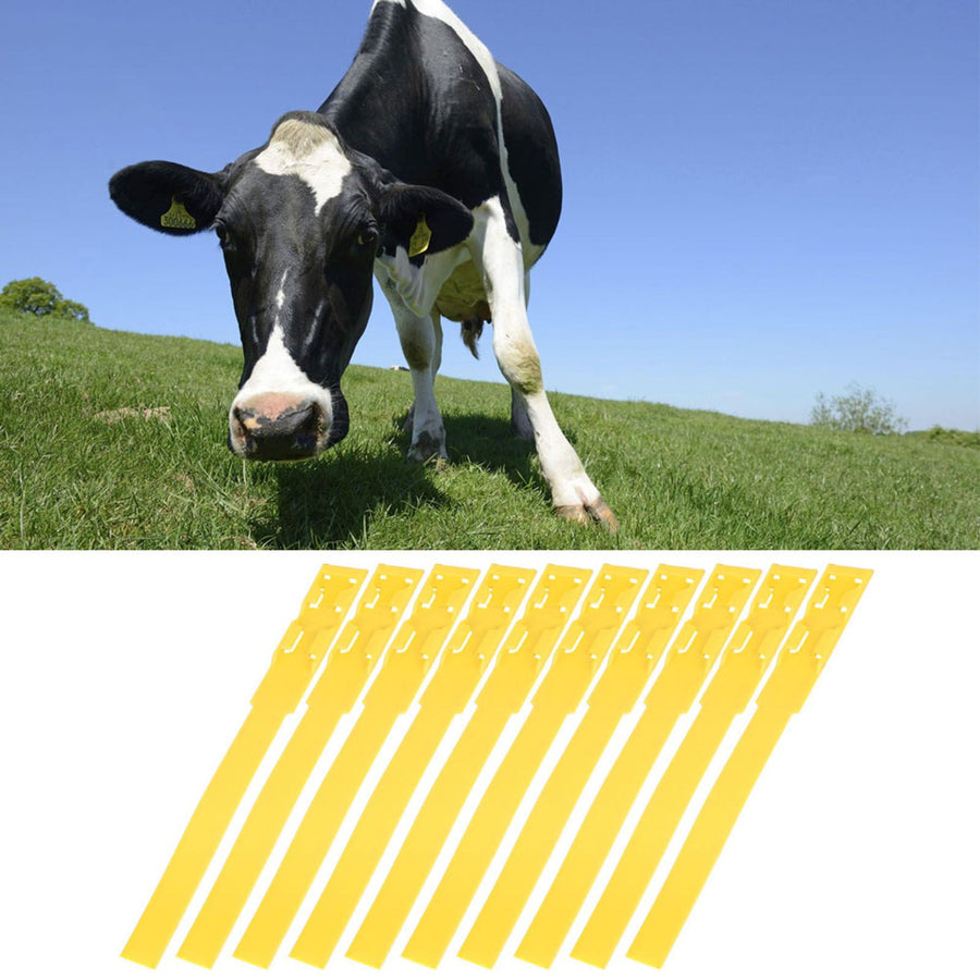 10pcs Identification ID Collars Bands Cow Cattle Marking Ring Supplies for Farm LivestockYellow