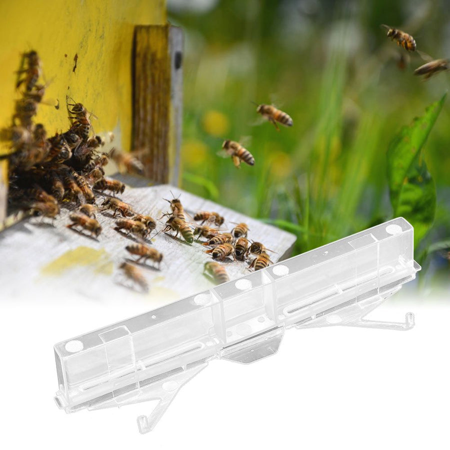 20pcs Small Hives Beetle Trap Broodlings Collector Plastic Portable Beekeeping Equipment Tool