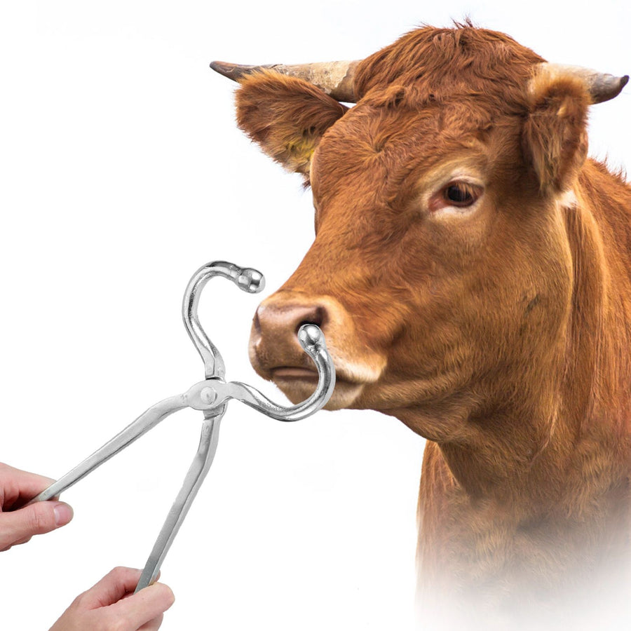 Long Handle Cattle Nasal Forceps Clip Nose Pliers Livestock Cow Cattle Nose Plier