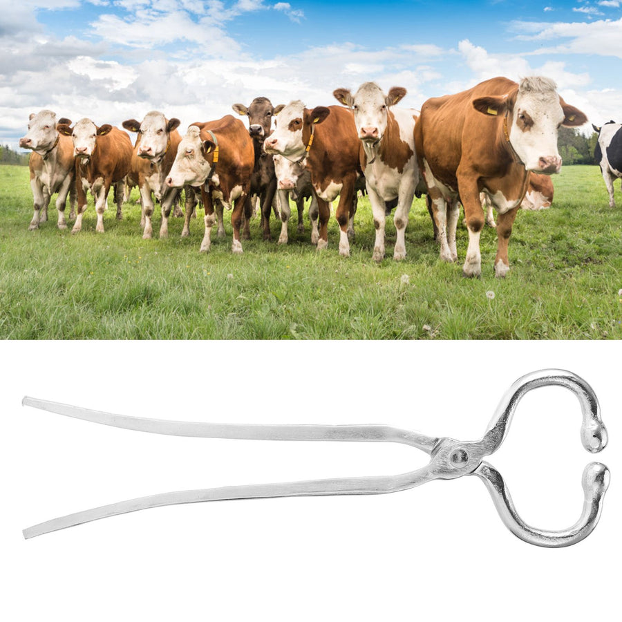 Long Handle Cattle Nasal Forceps Clip Nose Pliers Livestock Cow Cattle Nose Plier