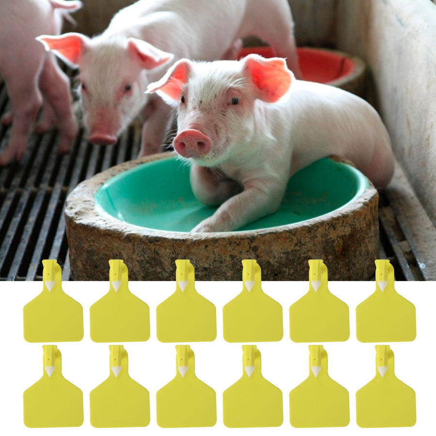 25PCS Livestock Cow Cattle Blank OnePiece Ear Tag Signs without Word Farm Animal Identification Card(M: 8.1x6.1CM )