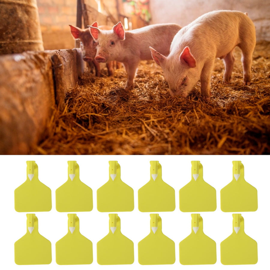 25PCS Livestock Cow Cattle Blank OnePiece Ear Tag Signs without Word Farm Animal Identification Card(M: 8.1x6.1CM )