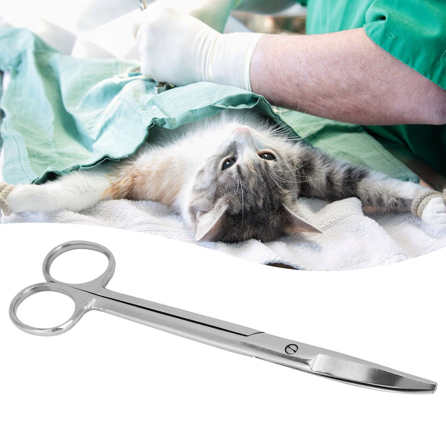 18cm Stainless Steel Scissor Veterinary Pet Farm Animal Curved Round Scissors Household Tool