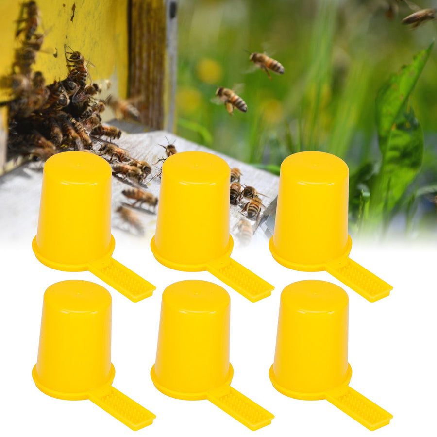 6Set Bee Water Feeder Beehive Drinking Feeding Device Beekeeping Rearing Accessory