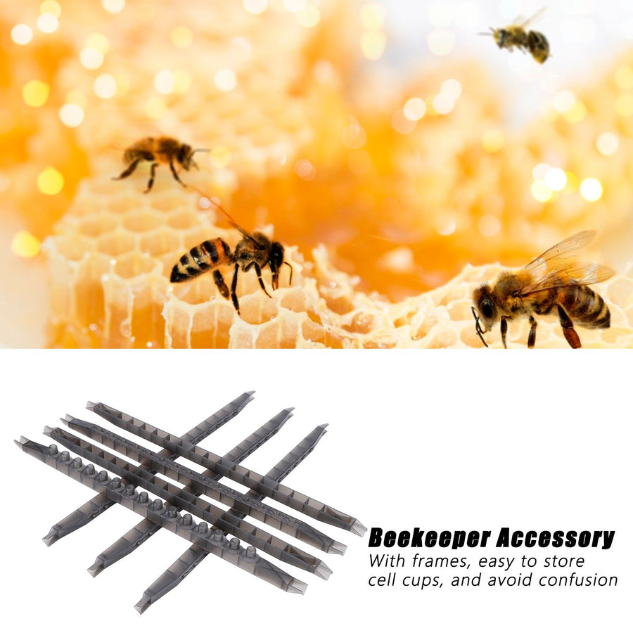 Queen Bee Cell Cups Kit with Frames Plastic Rearing Cage Box Beekeeping Equipments Tools