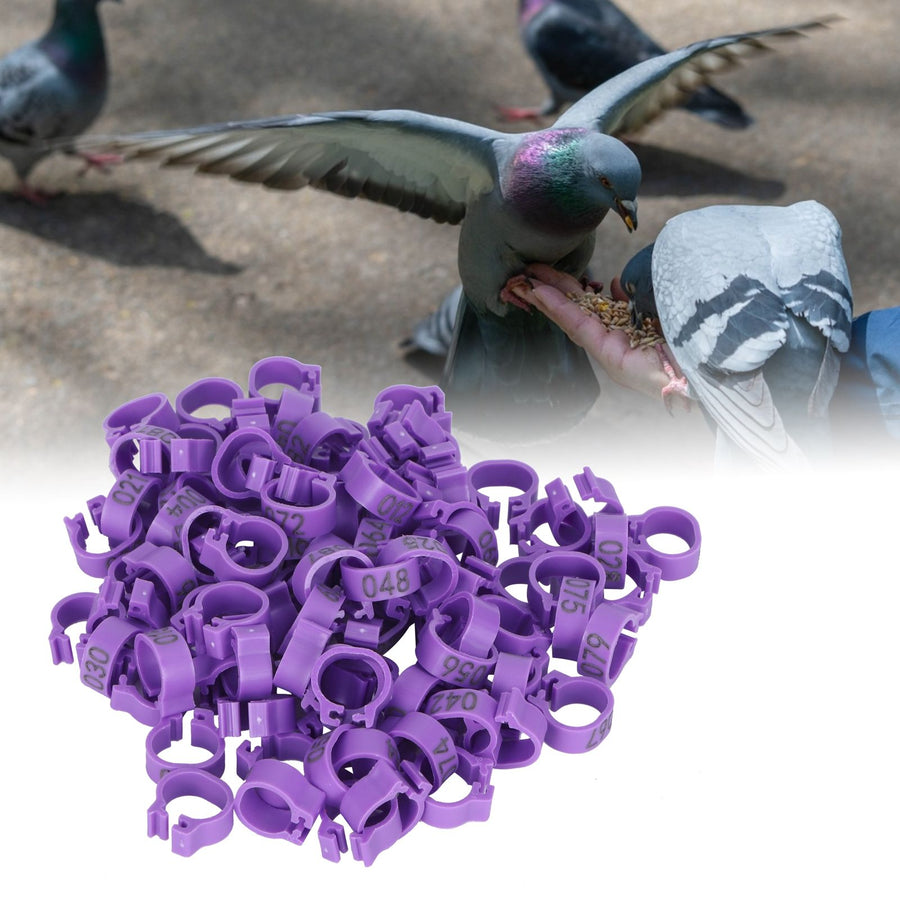 100pcs Birds Foot Rings Number Identification Pigeon Leg Bands Poultry Clip RingPurple