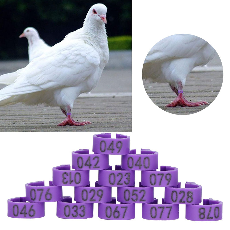 100pcs Birds Foot Rings Number Identification Pigeon Leg Bands Poultry Clip RingPurple