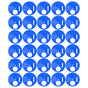 30Pcs Beehive Door Entrance Disc Plastic Round Exit Vent Gate Beekeeping AccessoryBlue