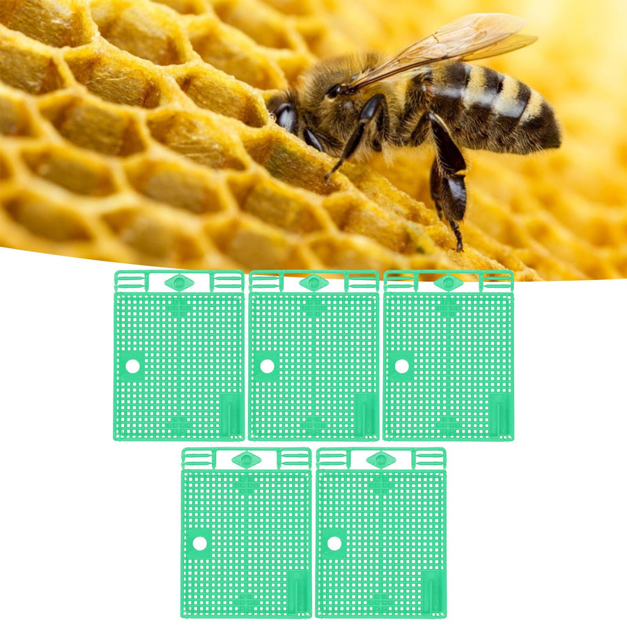 5Pcs Reusable Queen Bee Isolator Portable Queen Introducing Cage Beekeeping ToolsGreen