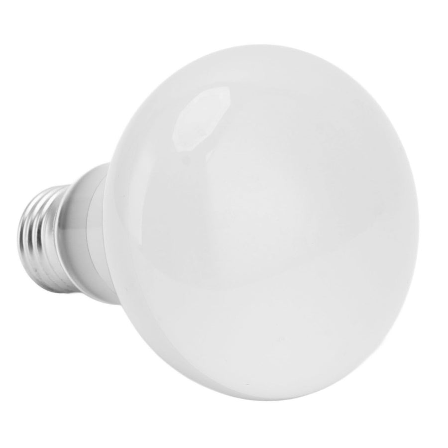 Day Night Reptile Bulb E27 Interface Multi Purpose Warm Soft Light Reptile Heat Lamp Bulb for Snake 110‑120V