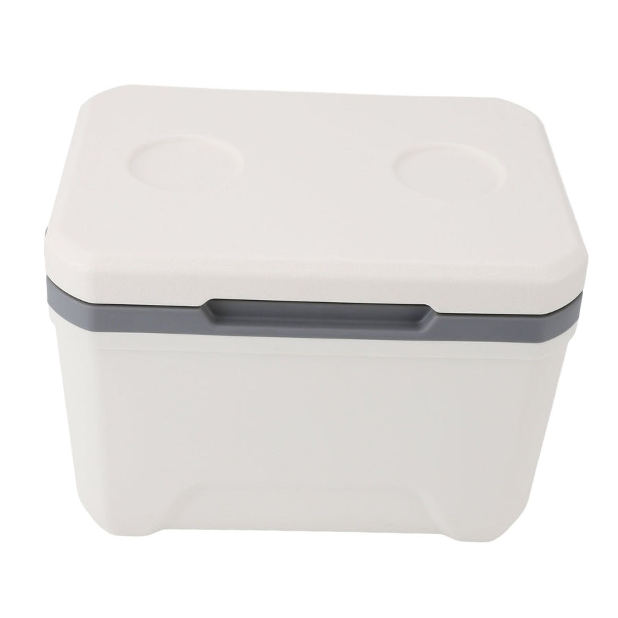 Car Cooler Insulated Portable 6L Hard Lightweight PU PP Ice Chest Box for Outdoor Camping BBQ Picnic