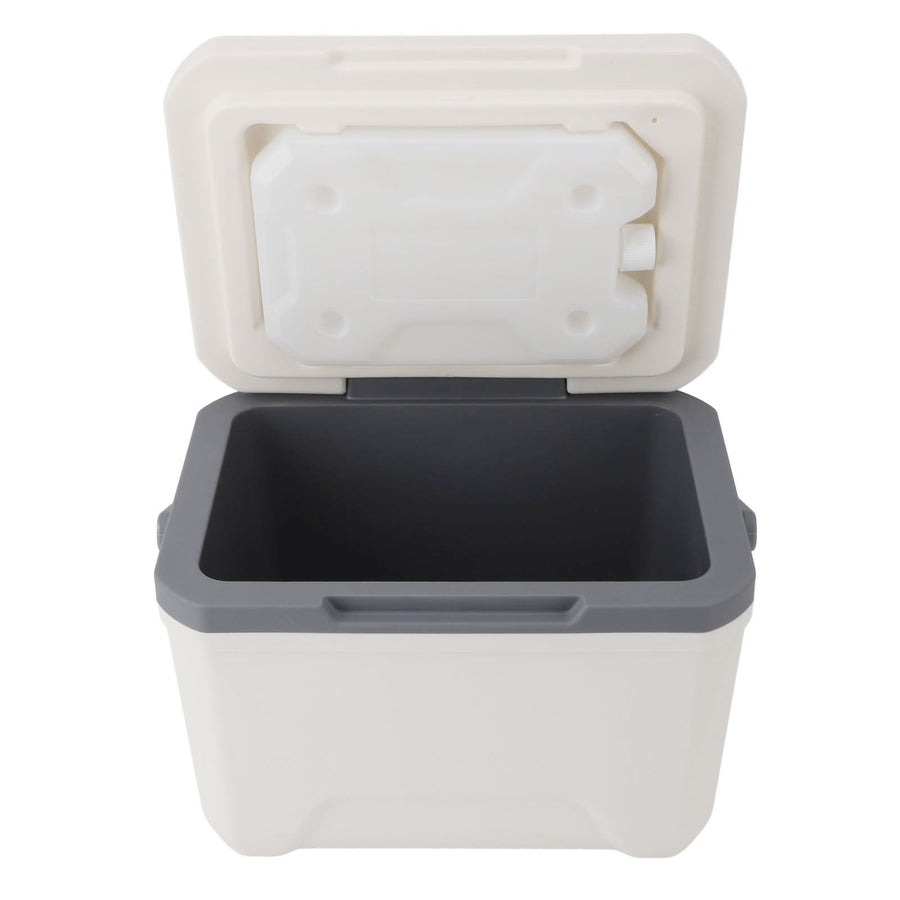 Car Cooler Insulated Portable 6L Hard Lightweight PU PP Ice Chest Box for Outdoor Camping BBQ Picnic