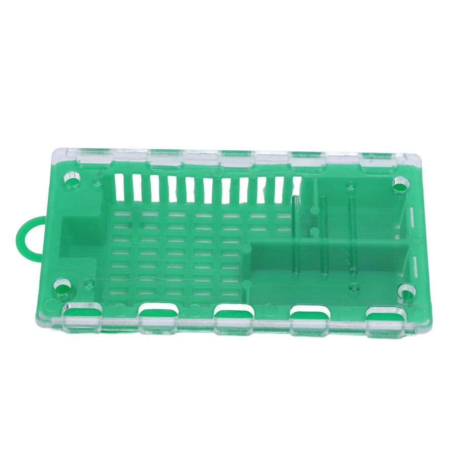 10pcs Queen Bee Cage Plastic Queen Bee Transporting Catcher Beekeeping Supplies Beekeeper Equipment Green