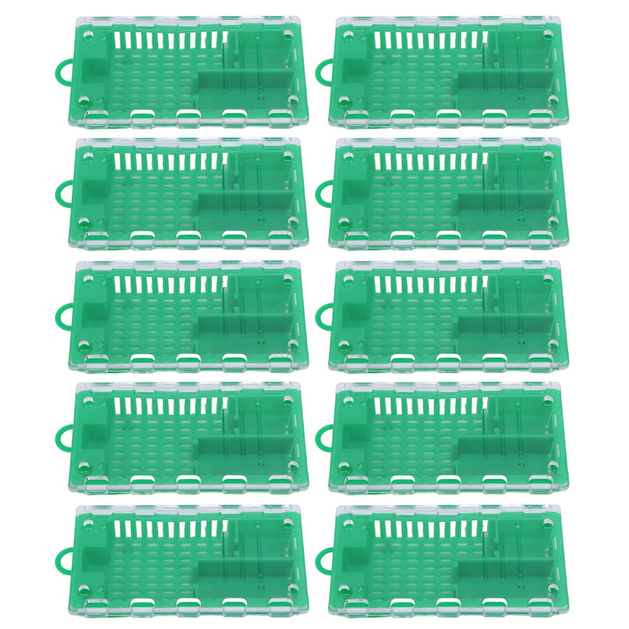 10pcs Queen Bee Cage Plastic Queen Bee Transporting Catcher Beekeeping Supplies Beekeeper Equipment Green