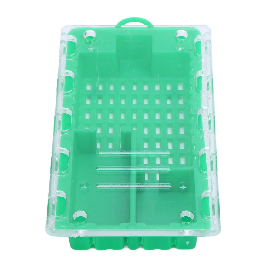 10pcs Queen Bee Cage Plastic Queen Bee Transporting Catcher Beekeeping Supplies Beekeeper Equipment Green
