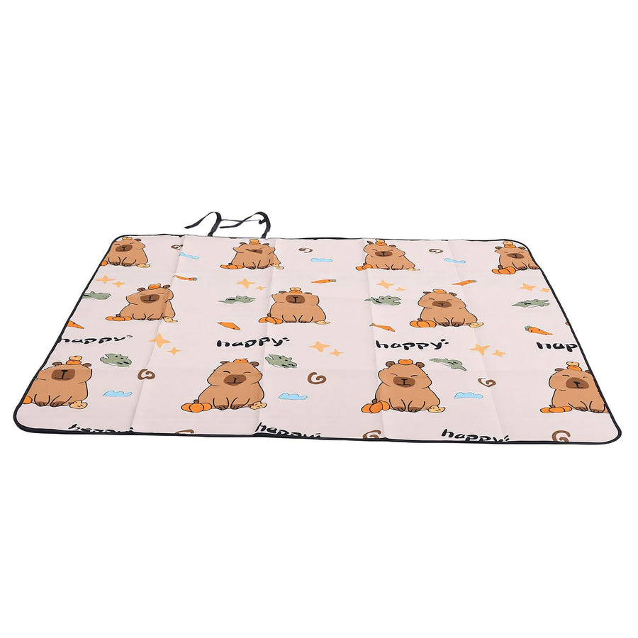 Picnic Blanket Water Proof Damp Proof Thickened Portable Foldable Picnic Mat for Outdoor Activities 200x200cm/78.74x78.74in
