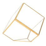 Gold Geometric Shape Succulents Plant Flowerpot Glass Planter Landscape Home Table Decoration
