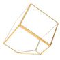 Gold Geometric Shape Succulents Plant Flowerpot Glass Planter Landscape Home Table Decoration
