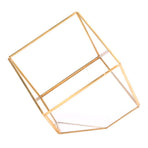 Gold Geometric Shape Succulents Plant Flowerpot Glass Planter Landscape Home Table Decoration