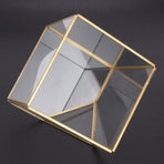 Gold Geometric Shape Succulents Plant Flowerpot Glass Planter Landscape Home Table Decoration