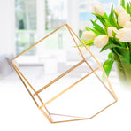 Gold Geometric Shape Succulents Plant Flowerpot Glass Planter Landscape Home Table Decoration