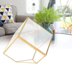 Gold Geometric Shape Succulents Plant Flowerpot Glass Planter Landscape Home Table Decoration