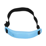 Intelligent Posture Corrector USB Charging Adjustable AntiHumpback Protector for Children(Blue )