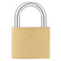 Household Outdoor Padlock with 3 Keys MediumThick Brass Iron Padlock for Door Cabinet(50mm )