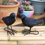 1 Pair Simulation Crow Ornament Innovative Festival Home Garden Animal Decoration Statue Resin Crafts