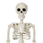 2PCS Skeleton Decorations 35.4 Inch Plastic Posable Spooky Full Body Skeleton Haunted House Prop for Outdoor Indoor Party Yard Garden Lawn Decor