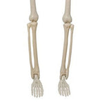 2PCS Skeleton Decorations 35.4 Inch Plastic Posable Spooky Full Body Skeleton Haunted House Prop for Outdoor Indoor Party Yard Garden Lawn Decor