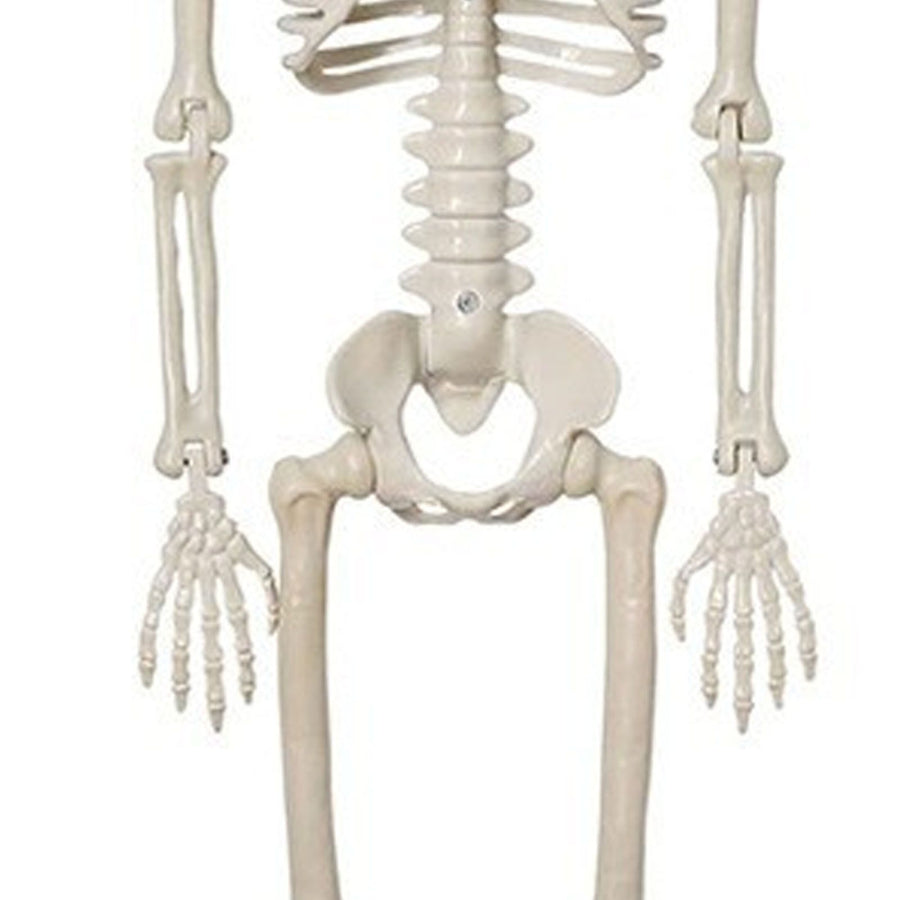 2PCS Skeleton Decorations 35.4 Inch Plastic Posable Spooky Full Body Skeleton Haunted House Prop for Outdoor Indoor Party Yard Garden Lawn Decor