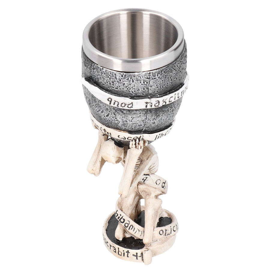 Wine Cup Retro Horrible Skull Goblet Cocktail Glasses Party Bar Drinkware Decoration